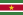 http://upload.wikimedia.org/wikipedia/commons/thumb/6/60/Flag_of_Suriname.svg/23px-Flag_of_Suriname.svg.png